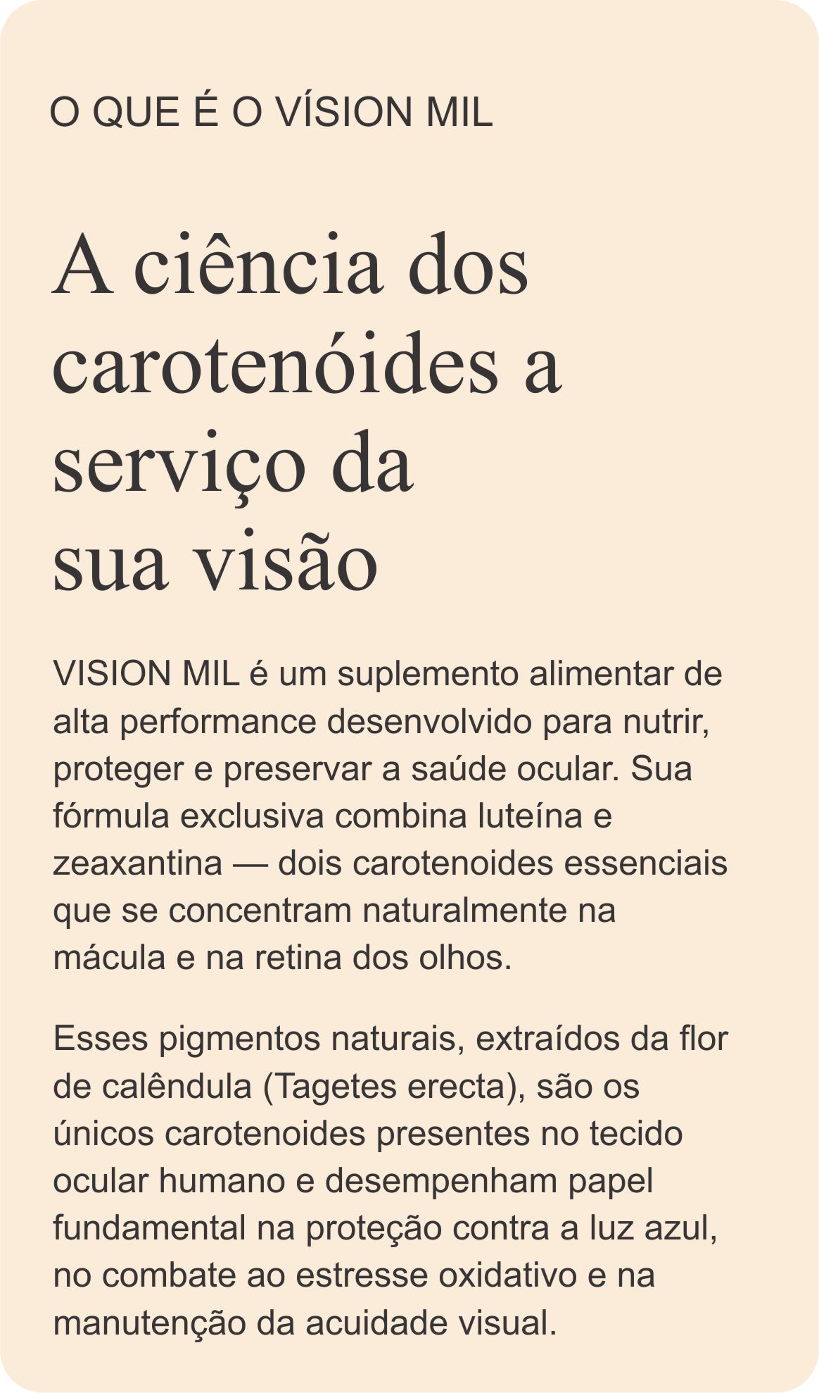 03 O QUE É.jpg